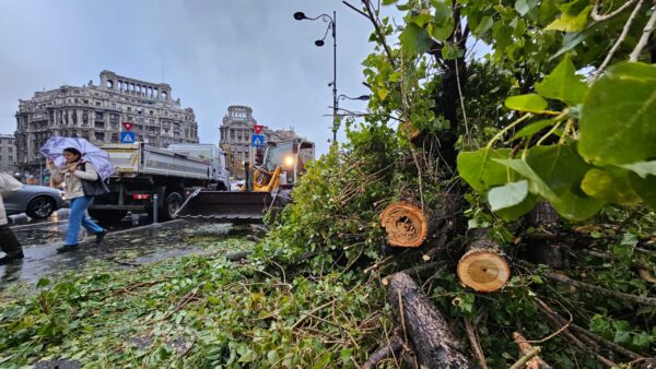 Cursurile se suspendă