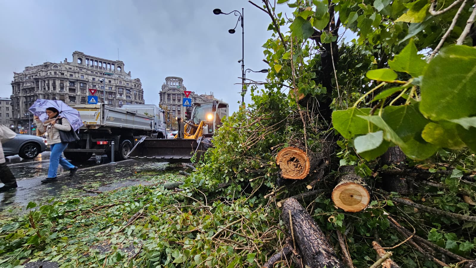 Cursurile se suspendă