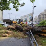 Furtuna a făcut ravagii