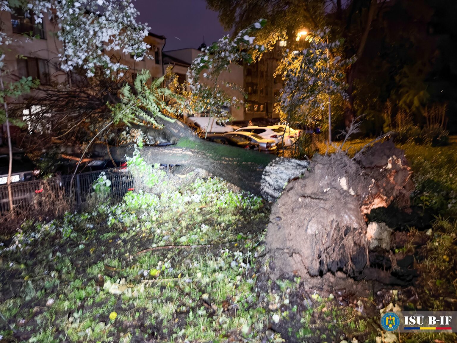 exagerat codul roșu