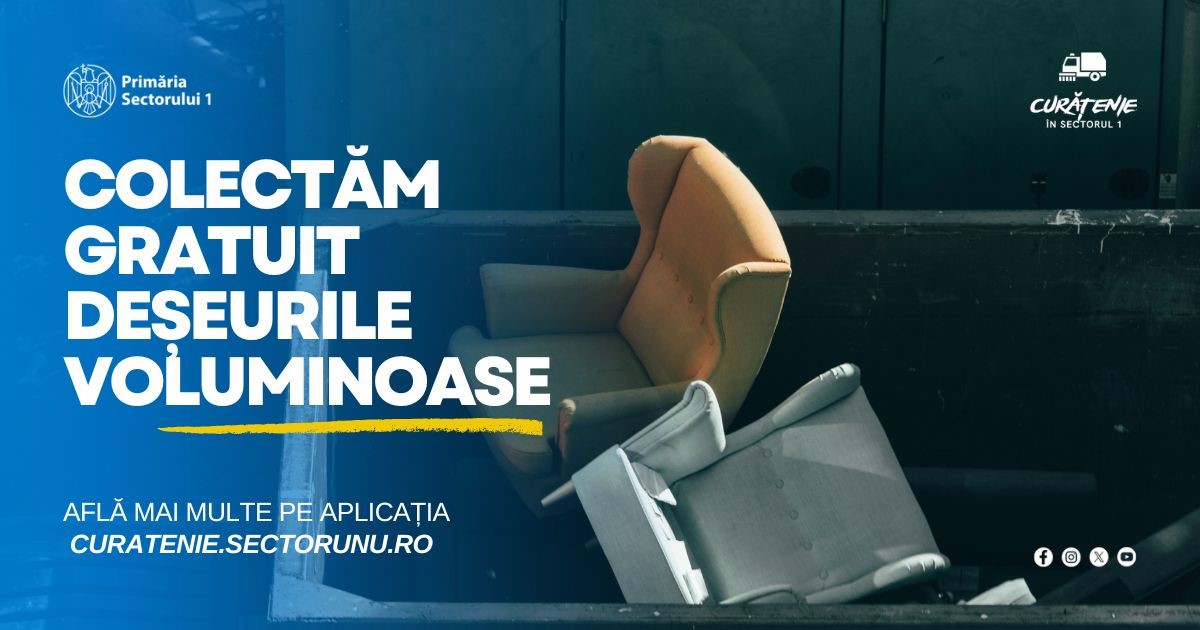 deșeurile voluminoase și electronice