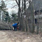 Peste 50 de organizații civice cer Consiliului General să mărească amenzile pentru defrișările ilegale din București. Protest la Primăria Capitalei. Foto: Arhivă via Cătălin Anghel-Dimache