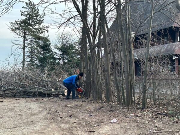 Peste 50 de organizații civice cer Consiliului General să mărească amenzile pentru defrișările ilegale din București. Protest la Primăria Capitalei. Foto: Arhivă via Cătălin Anghel-Dimache