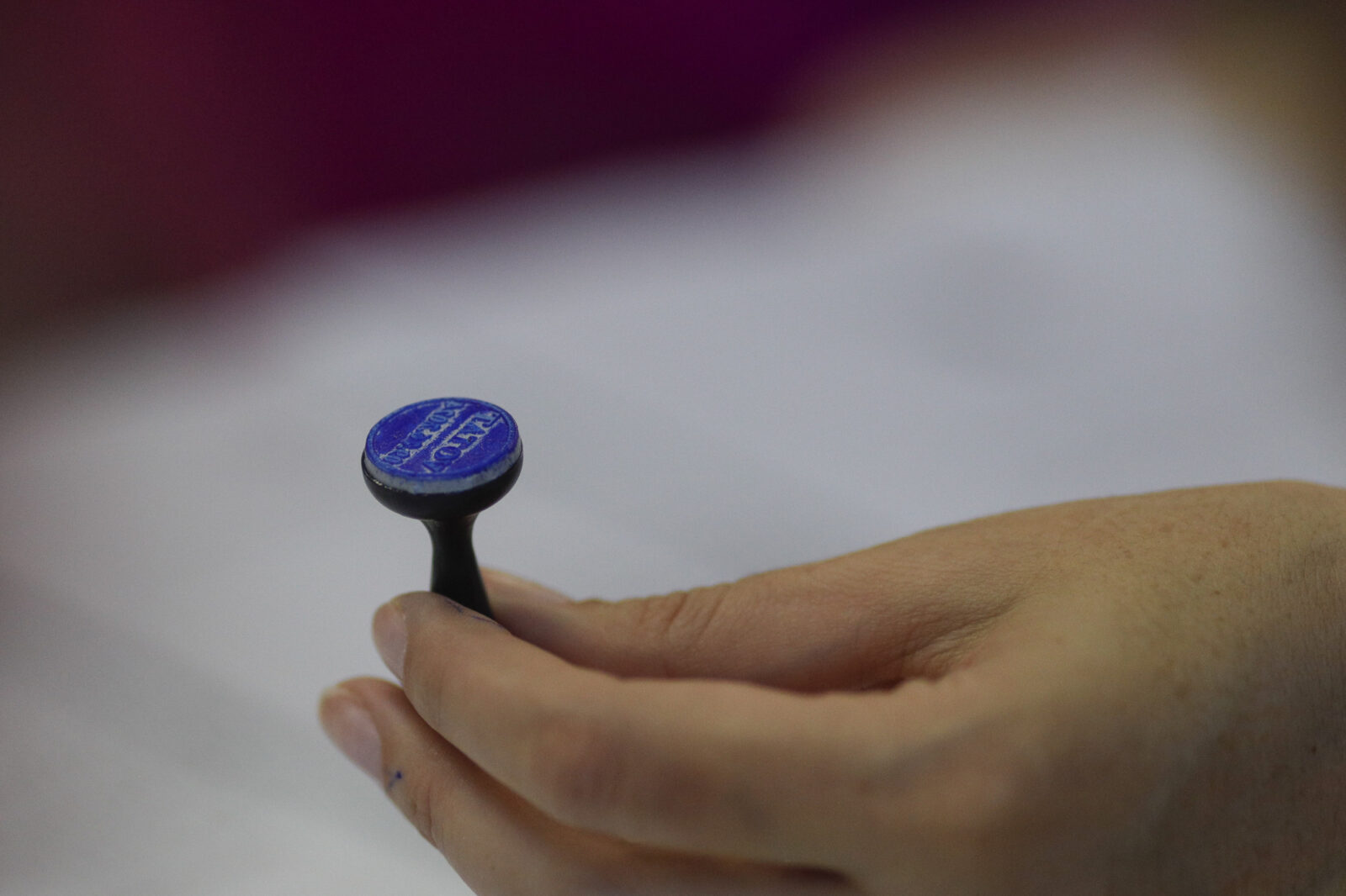 Alegeri București | Cine poate vota cu viza de flotant, pe 7 decembrie. FOTO: INQUAM/ Octav Ganea