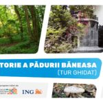 Tur ghidat prin Pădurea Băneasa: istorie, mituri și biodiversitate