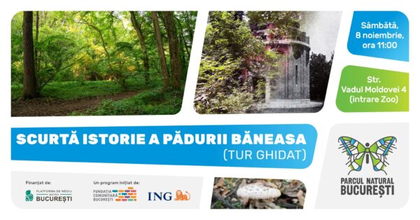 Tur ghidat prin Pădurea Băneasa: istorie, mituri și biodiversitate