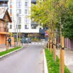 Sector 6 | 660 de copaci vor prinde rădăcini în sector. 180 au fost deja plantați / FOTO: PS6