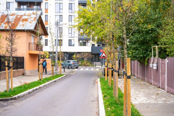 Sector 6 | 660 de copaci vor prinde rădăcini în sector. 180 au fost deja plantați / FOTO: PS6