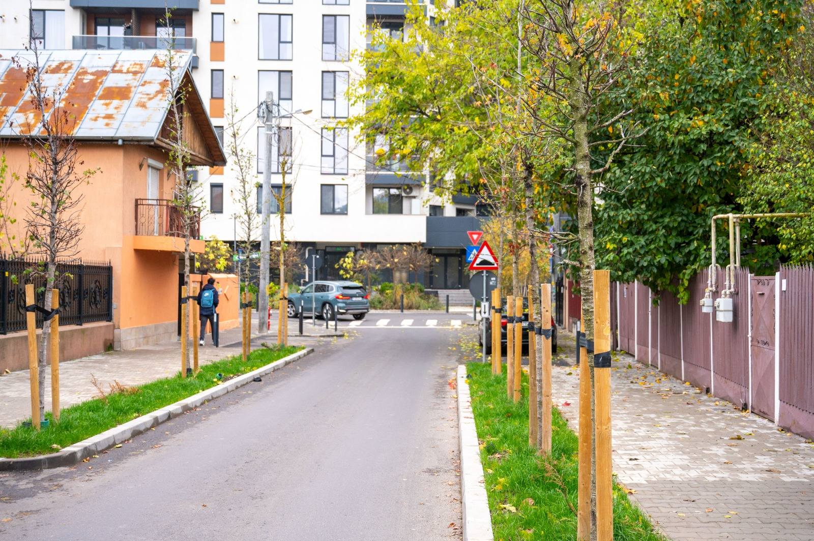 Sector 6 | 660 de copaci vor prinde rădăcini în sector. 180 au fost deja plantați / FOTO: PS6