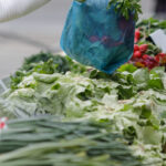 Piața volantă în zona Teatrului Masca