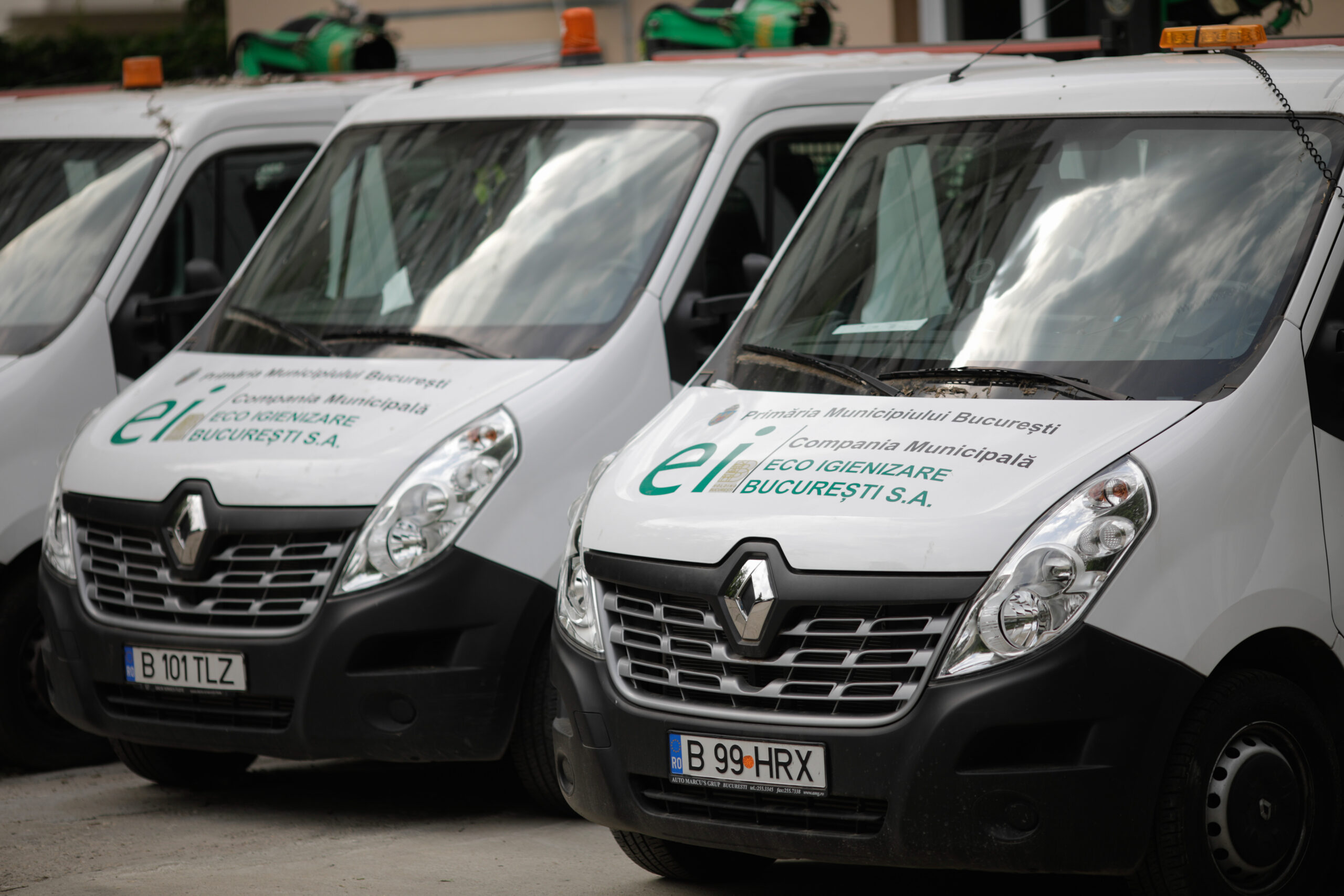 Costurile combatere a șobolanilor și țânțarilor vor crește: 5,5 milioane de euro pentru 2026