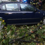 Sector 5 noi reguli mașinile avariate de arbori