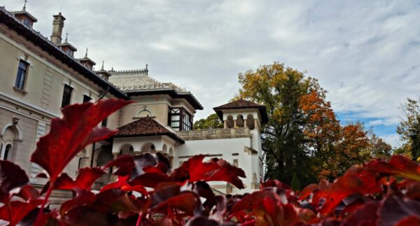 Muzeul Național Cotroceni nou program de vizitare