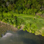 Asociația Parcul Natural București propune cinci proiecte de mediu pentru viitorul primar