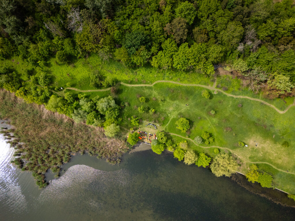 Invitație la voluntariat și picnic, în Pajiștea Petricani. Cum poți avea grijă de cea mai nouă arie naturală protejată din Capitală. Foto: Asociația Parcul Natural București/ Alex Busuioceanu