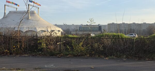 Târg de Crăciun și parc de distracții, fără autorizații, în zona retrocedată din IOR. Foto: Aici a fost o pădure/ Aici ar putea fi o pădure