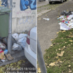 bani către Romprest