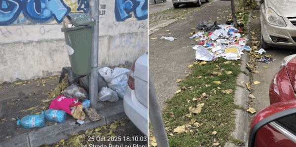 bani către Romprest