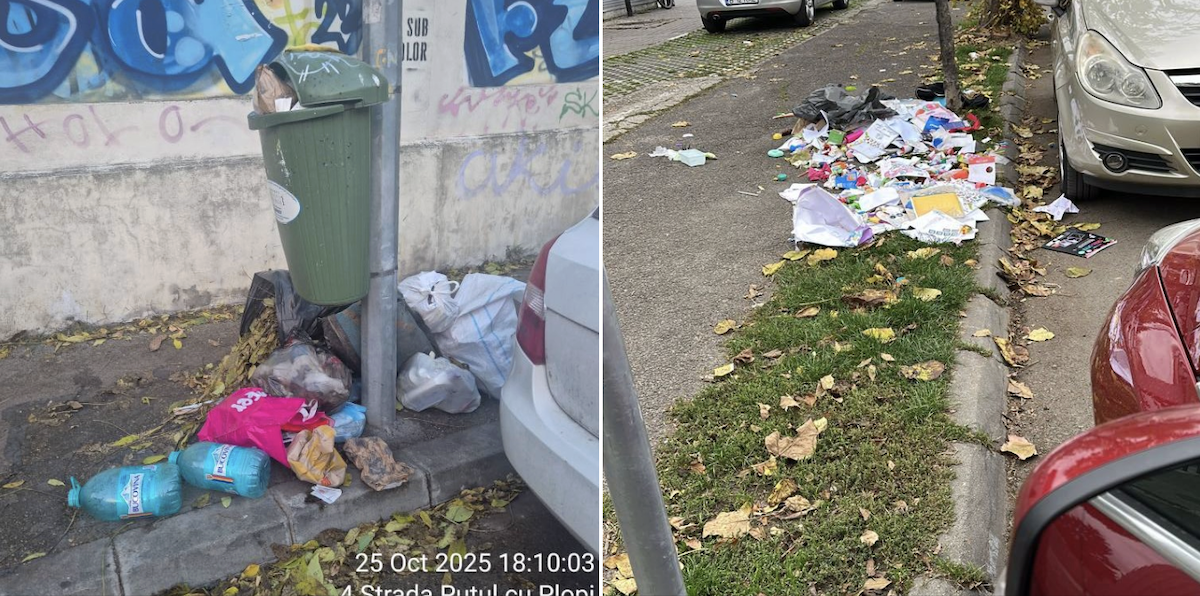 bani către Romprest