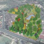 Primul pas spre o pădure urbană în Bragadiru. Primăria plătește aproape 50.000 de euro pentru documentația tehnică