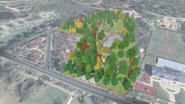 Primul pas spre o pădure urbană în Bragadiru. Primăria plătește aproape 50.000 de euro pentru documentația tehnică