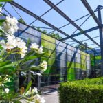 Serele exotice din parcul Drumul Taberei