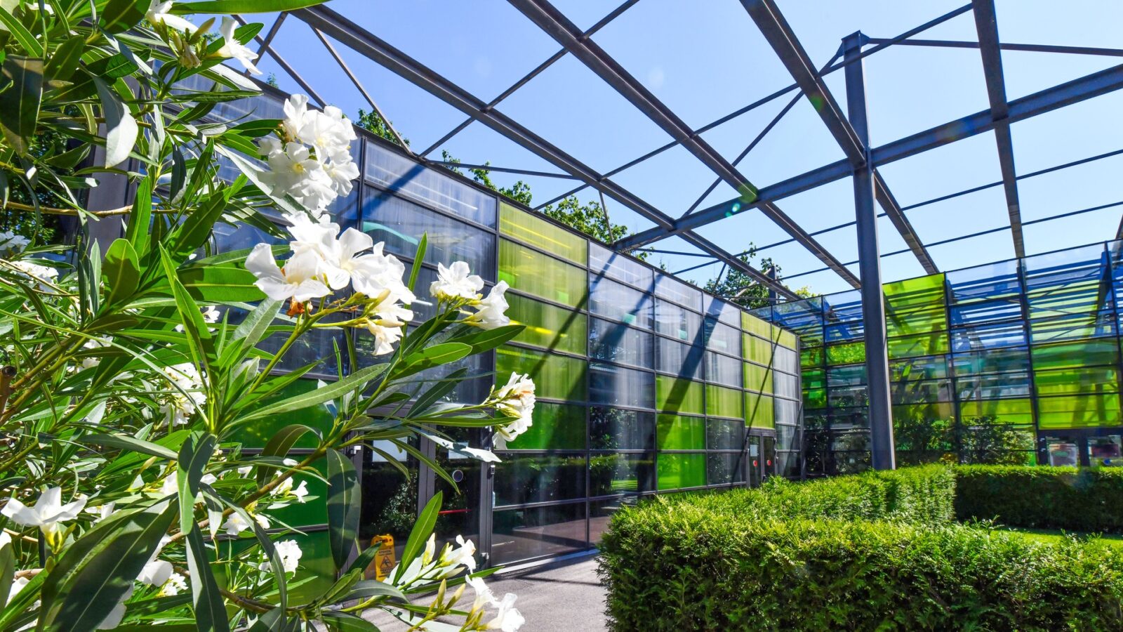 Serele exotice din parcul Drumul Taberei