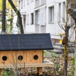 Sector 6 | Noi căsuțe pentru pisici, în grădinile blocurilor. FOTO: PS6