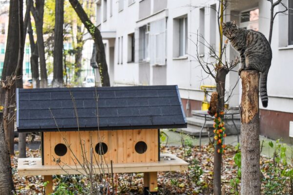 Sector 6 | Noi căsuțe pentru pisici, în grădinile blocurilor. FOTO: PS6
