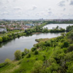 Specii rare și o nouă arie protejată: ce a adus 2025 pentru fauna Bucureștiului