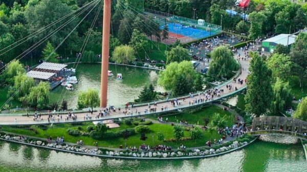 Primăria Sectorului 6 vrea să repare podul suspendat din Parcul Drumul Taberei. Contractul depășește 700.000 de euro