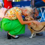 ASPA | Cum poți adopta temporar un animal, prin programul Foster. FOTO: ASPA