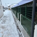 ASPA cere ajutorul cetățenilor pentru îngrijirea animalelor, pe timp de ger. FOTO: ASPA