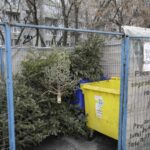 Sector 4 | Brazii vor fi colectați de la ghenele blocurilor de către operatorul de salubrizare | FOTO: (ilustrativ) Inquam Photos / Octav Ganea