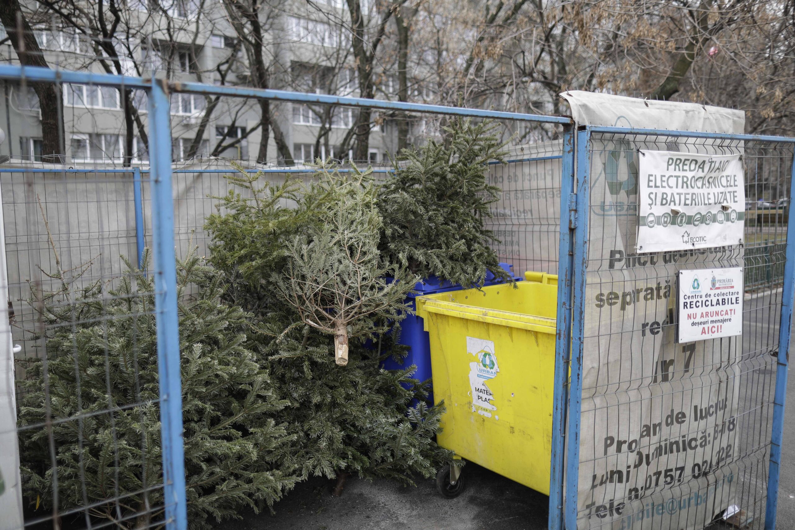 Sector 4 | Brazii vor fi colectați de la ghenele blocurilor de către operatorul de salubrizare