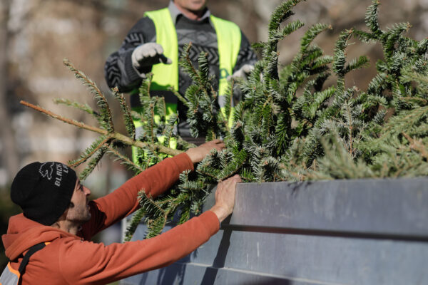 Sector 2 | Predare non-stop a brazilor de Crăciun în două centre. Ridicarea de la blocuri și case se face doar cu programare | FOTO: Inquam Photos / George Călin