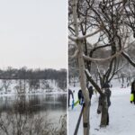 Parcul Tineretului pârtie