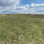 Primăria Voluntari vrea să facă un parc pe locul unei foste gropi de gunoi. Pandele plătește aproape 50.000 de euro pentru studiul de fezabilitate