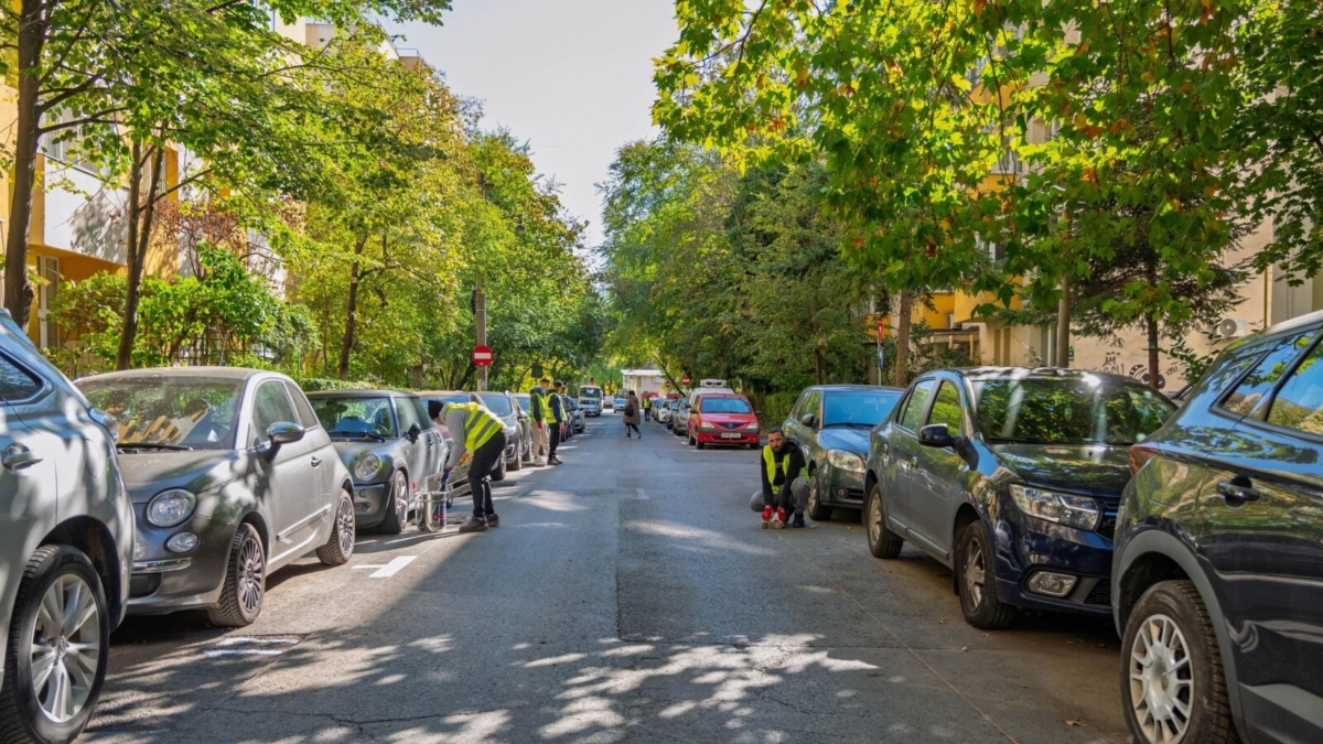 ridicate de pe domeniul public