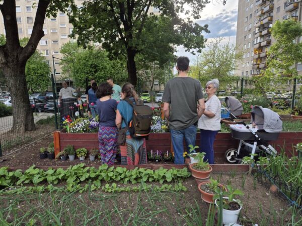 Grădinile comunitare, încă interzise în București. O rețea nou-înființată cere primăriilor să le legalizeze