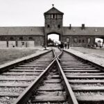 Zilele filmului „Memoria Holocaustului”, la Muzeul Țăranului Român. FOTO: Shutterstock