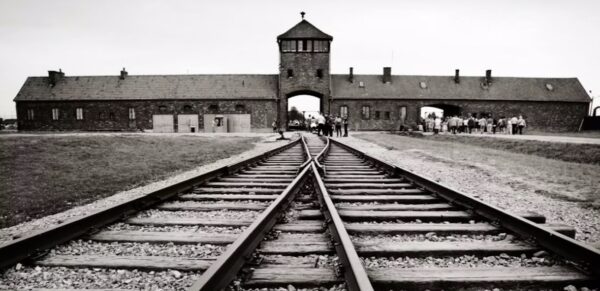 Zilele filmului „Memoria Holocaustului”, la Muzeul Țăranului Român. FOTO: Shutterstock