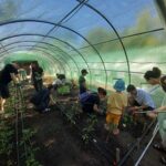 Fundația Comunitară București: Proiecte civice de 150.000 de euro. FOTO: Fundația Comunitară