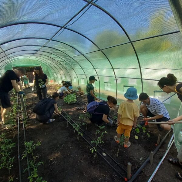 Fundația Comunitară București: Proiecte civice de 150.000 de euro. FOTO: Fundația Comunitară