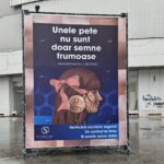 Primăria Generală scoate reclamele ilegale de pe trotuare. Ciucu: „Nu plăteau taxe, făceau doar bani” | FOTO: Ciprian Ciucu via Facebook