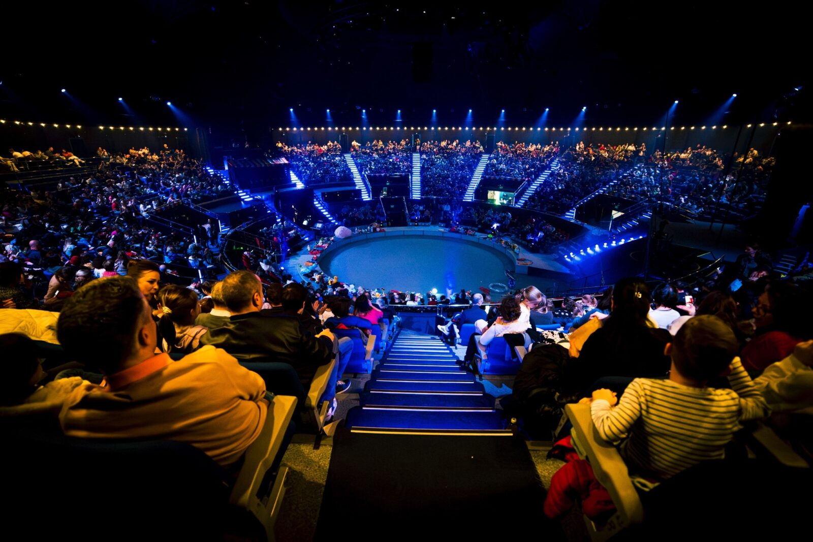 Spectacole dedicate elevilor aflați în vacanță, săptămâna aceasta, la instituțiile din subordinea PMB | FOTO: PMB