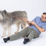 Prima comedie urbană românească inspirată de căței a avut avanpremiera într-un mall din Sectorul 2