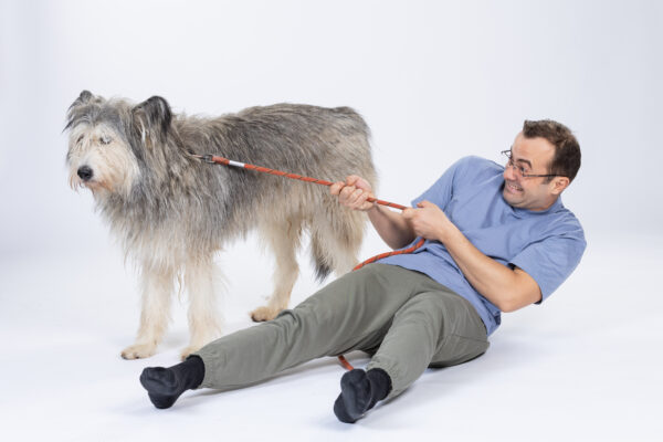 Prima comedie urbană românească inspirată de căței a avut avanpremiera într-un mall din Sectorul 2