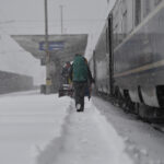 Întârzieri de 46 de ore în Gara de Nord după ce un copac a căzut pe linia de înaltă tensiune | FOTO: Inquam Photos / Alex Nicodim