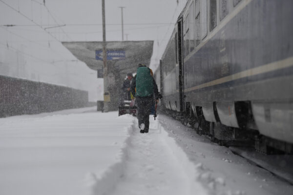 Întârzieri de 46 de ore în Gara de Nord după ce un copac a căzut pe linia de înaltă tensiune | FOTO: Inquam Photos / Alex Nicodim